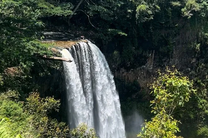 Wailua Falls cayendo por un acantilado hasta una poza en la selva